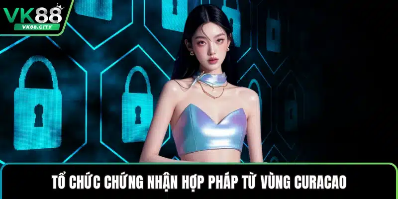 Giấy Phép Hoạt Động VK88 Cấp Bởi Cơ Quan Thẩm Quyền