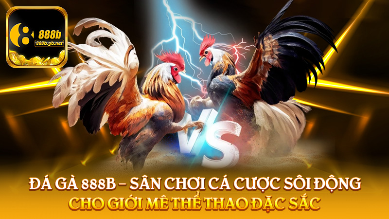 Đá Gà 888b – Sân Chơi Cá Cược Sôi Động Cho Giới Mê Thể Thao Đặc Sắc - 888B