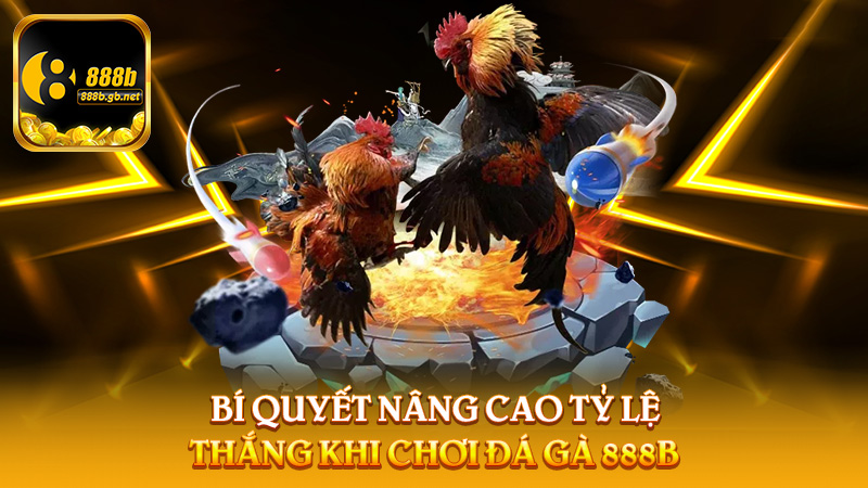 Đá Gà 888b – Sân Chơi Cá Cược Sôi Động Cho Giới Mê Thể Thao Đặc Sắc - 888B