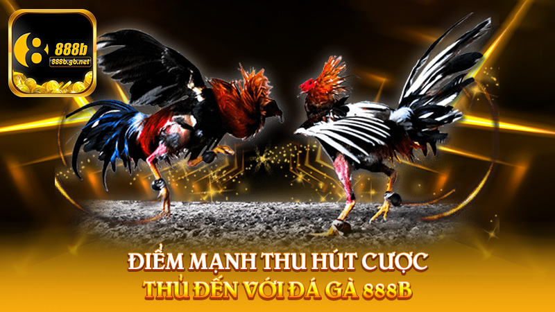 Đá Gà 888b – Sân Chơi Cá Cược Sôi Động Cho Giới Mê Thể Thao Đặc Sắc - 888B